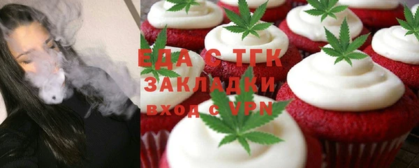 молекула духа Вяземский