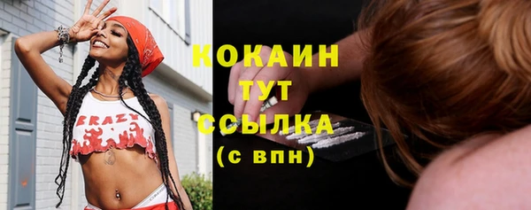 крисы Вязьма