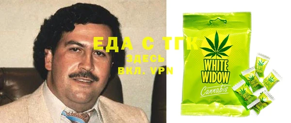 молекула духа Вяземский