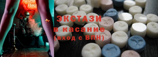 молекула духа Вяземский