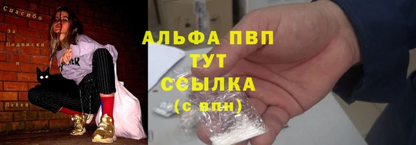 крисы Вязьма