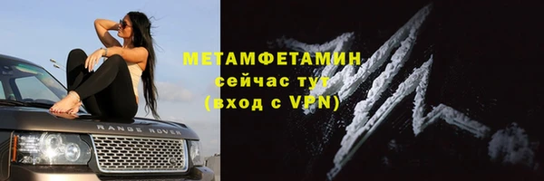 молекула духа Вяземский
