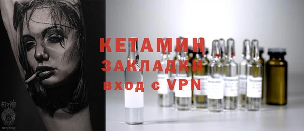 молекула духа Вяземский