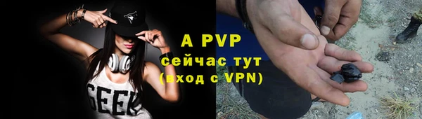 крисы Вязьма