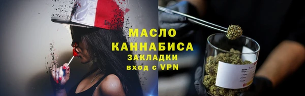 молекула духа Вяземский