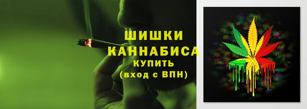 крисы Вязьма