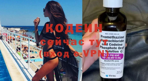 молекула духа Вяземский