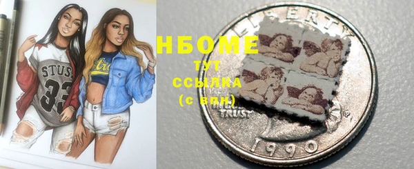 молекула духа Вяземский