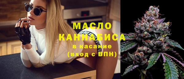 молекула духа Вяземский