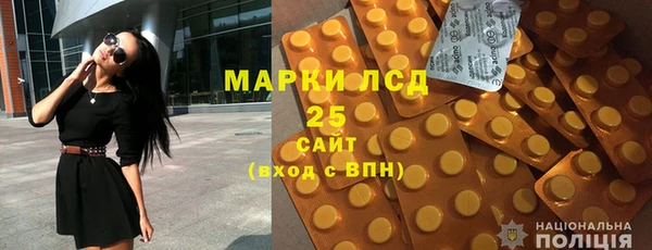 молекула духа Вяземский