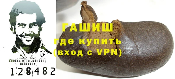 молекула духа Вяземский