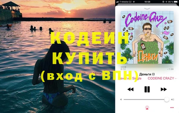 молекула духа Вяземский